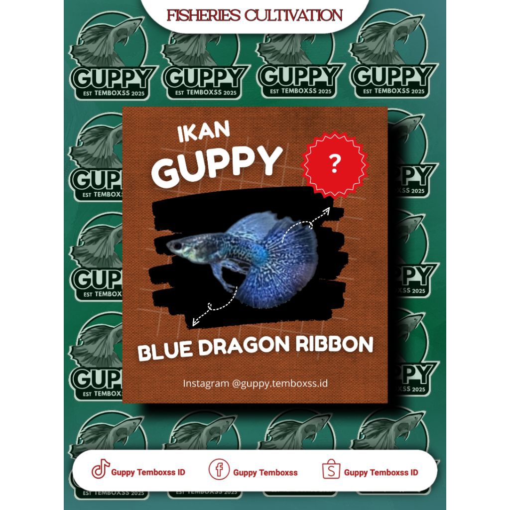 Hiasan Aquarium - Guppy Blue Dragon Ribbon