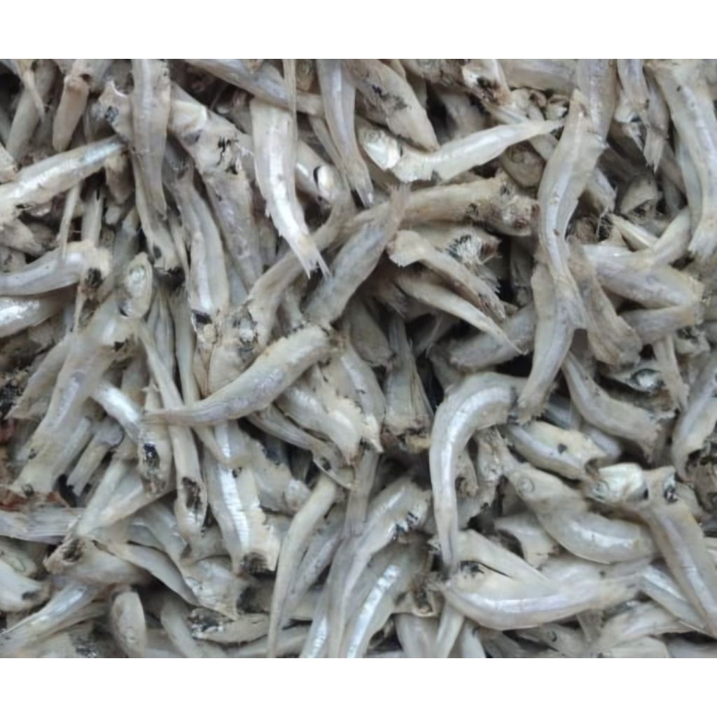 Ikan Asin Teri Rebus / Teri Jengki Kualitas Premium