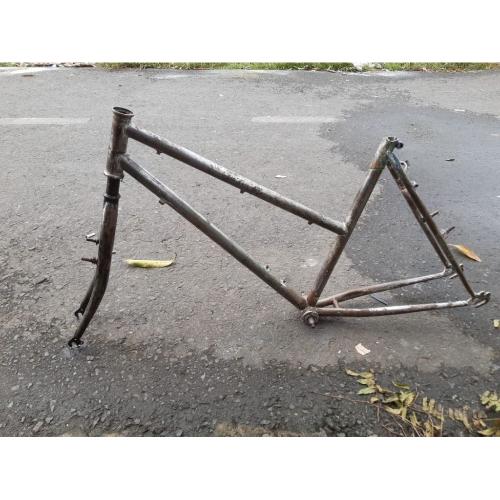 Federal Lady seri FC ukuran 24