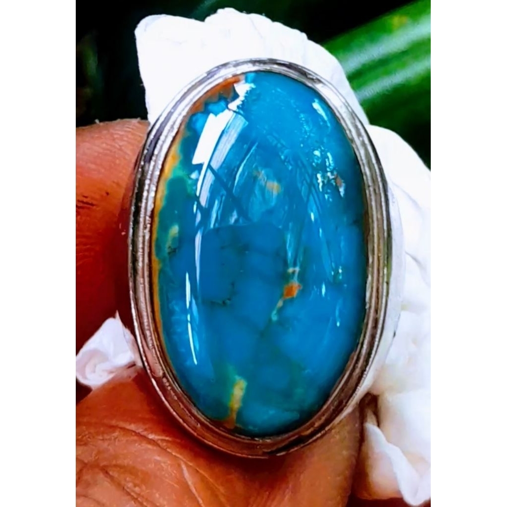 Pirus Persia Naisabur Blue Fancy urat emas size jumbo