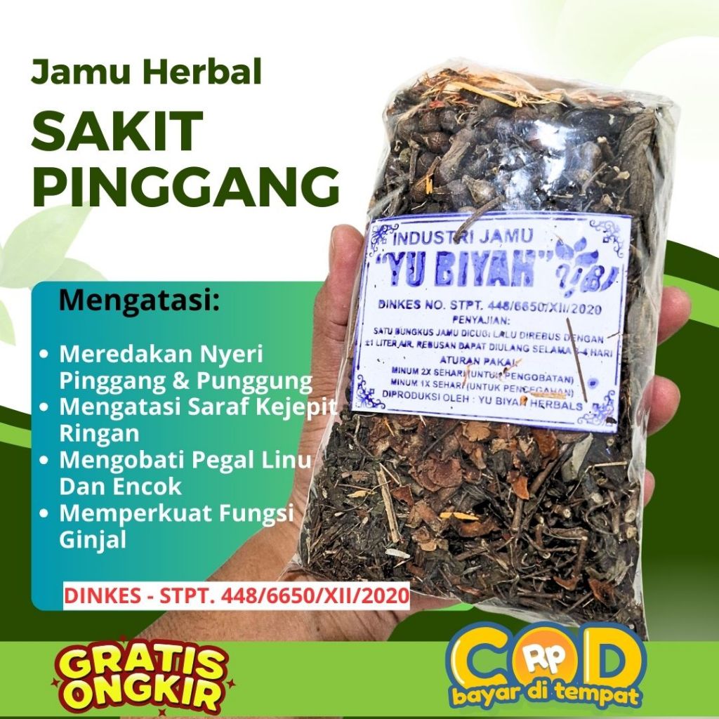 Jamu Godokan Untuk Sakit Pinggang, Tulang Belakang Nyeri Bokong Sering Kram Herbal Alami rebusan
