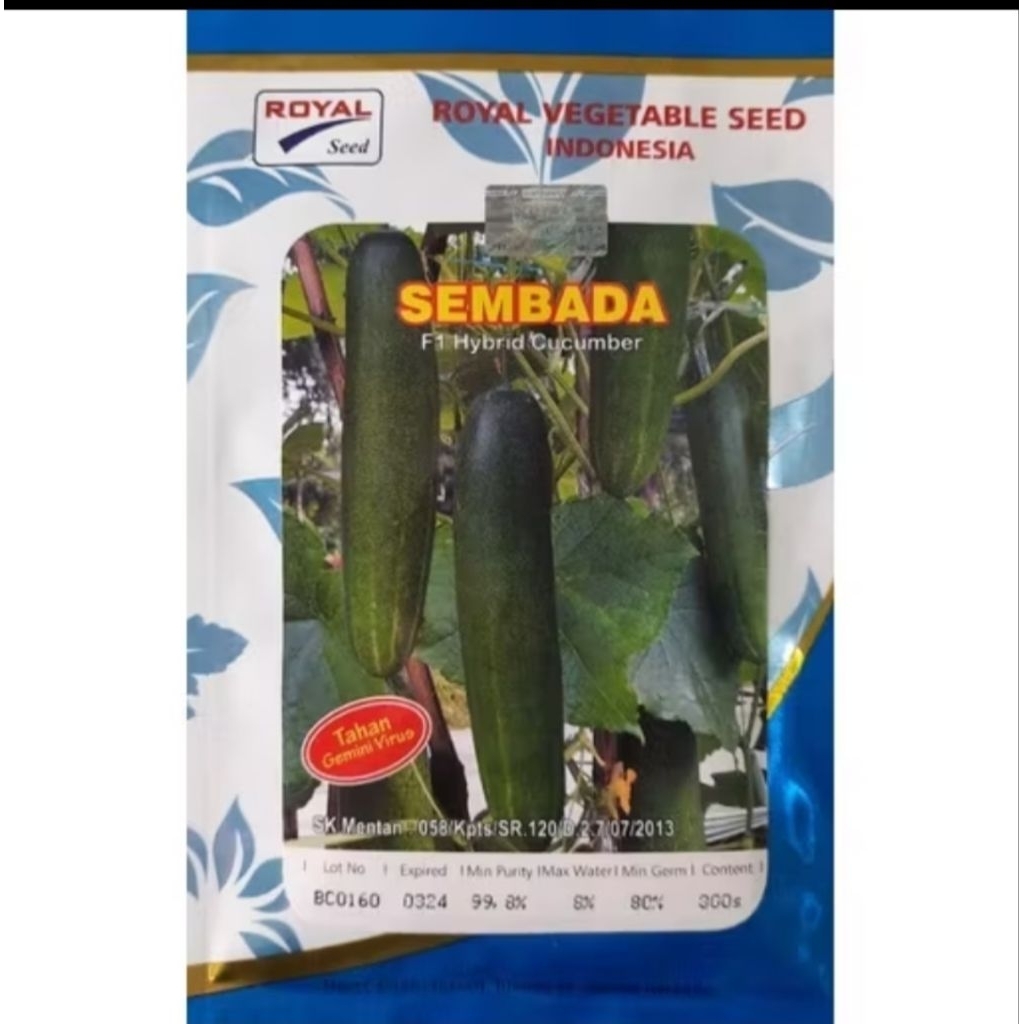 benih timun SEMBADA F1 diproduksi oleh PT Royal Agro Persada kemasan 30gram