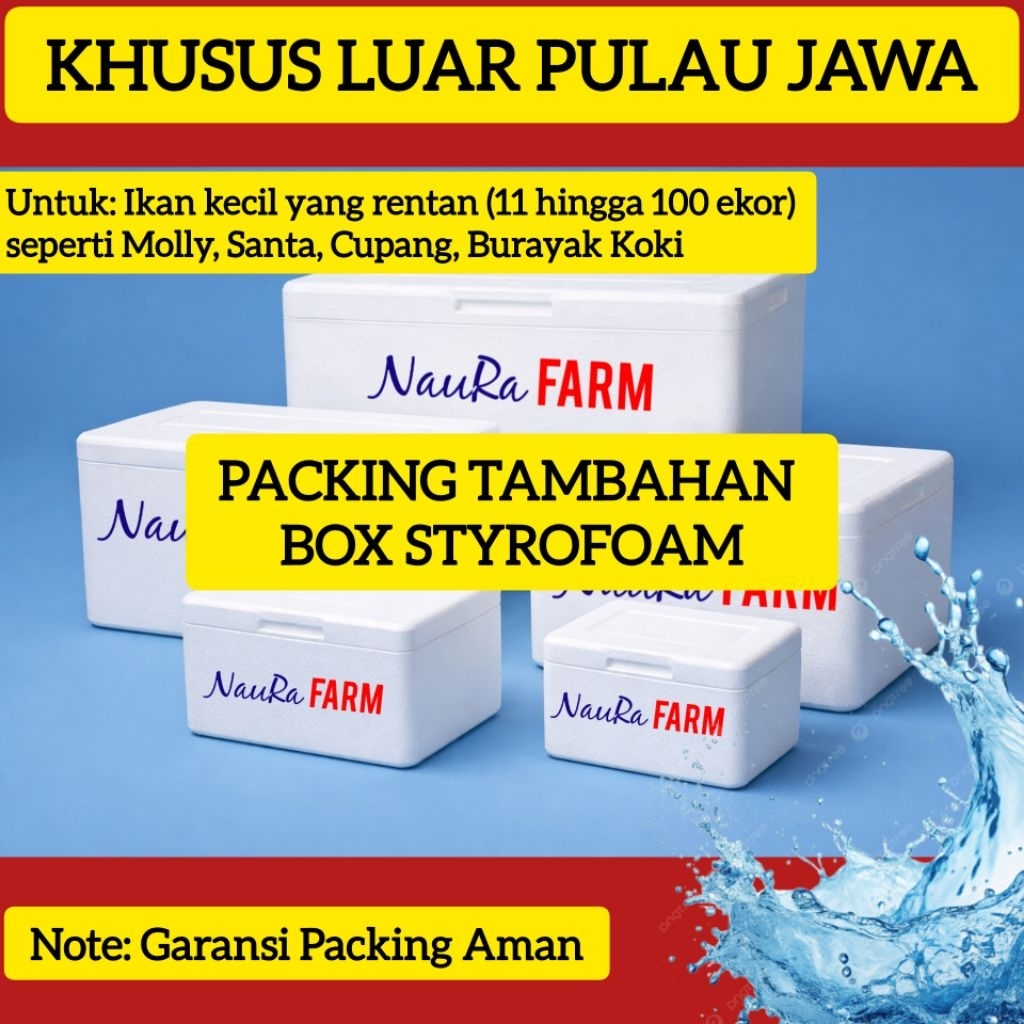 Packing Garansi Aman untuk ikan kecil Molly, Cupang, Guppy, Neon, Santa, Burayak BOX STYROFOAM Khusu