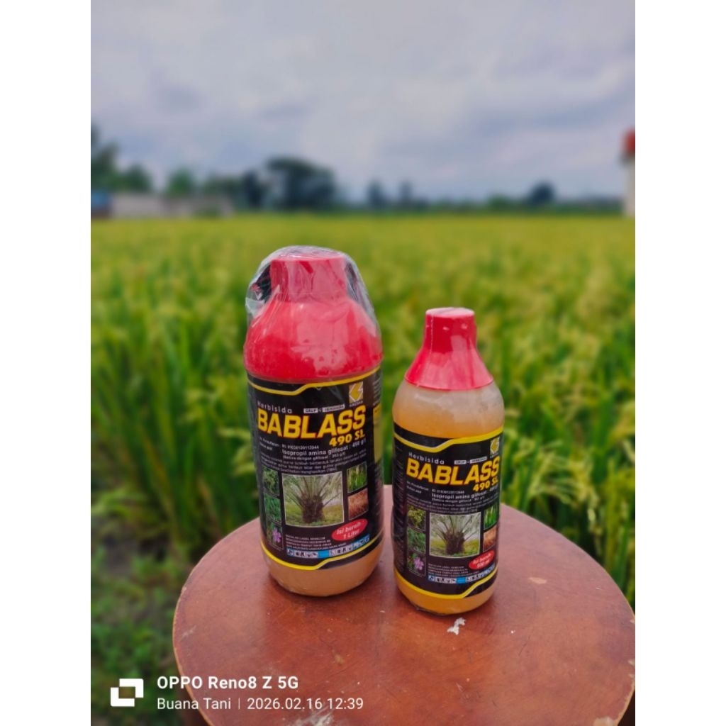 BABLAS#490SL-1L#HerbisidaSistemik