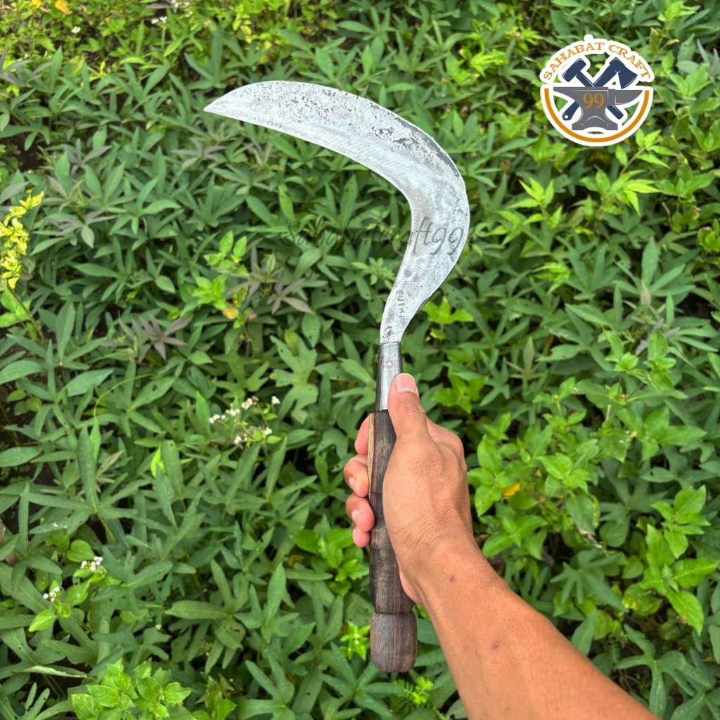 Arit Sabit Pengaritan Padi dan Rumput Baja Putih Sepuhan Super Tajam | SahabatCraft99