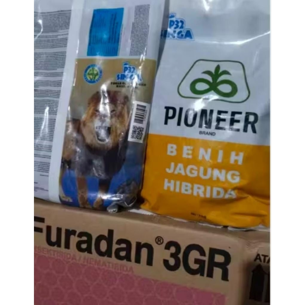 BENIH JAGUNG P32 SINGA 1KG