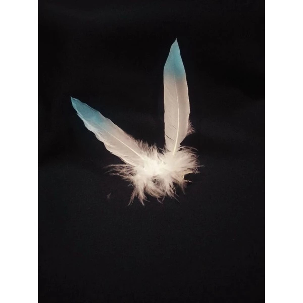 Tiezea - JEPIT RAMBUT LUMINE ACC COSPLAY