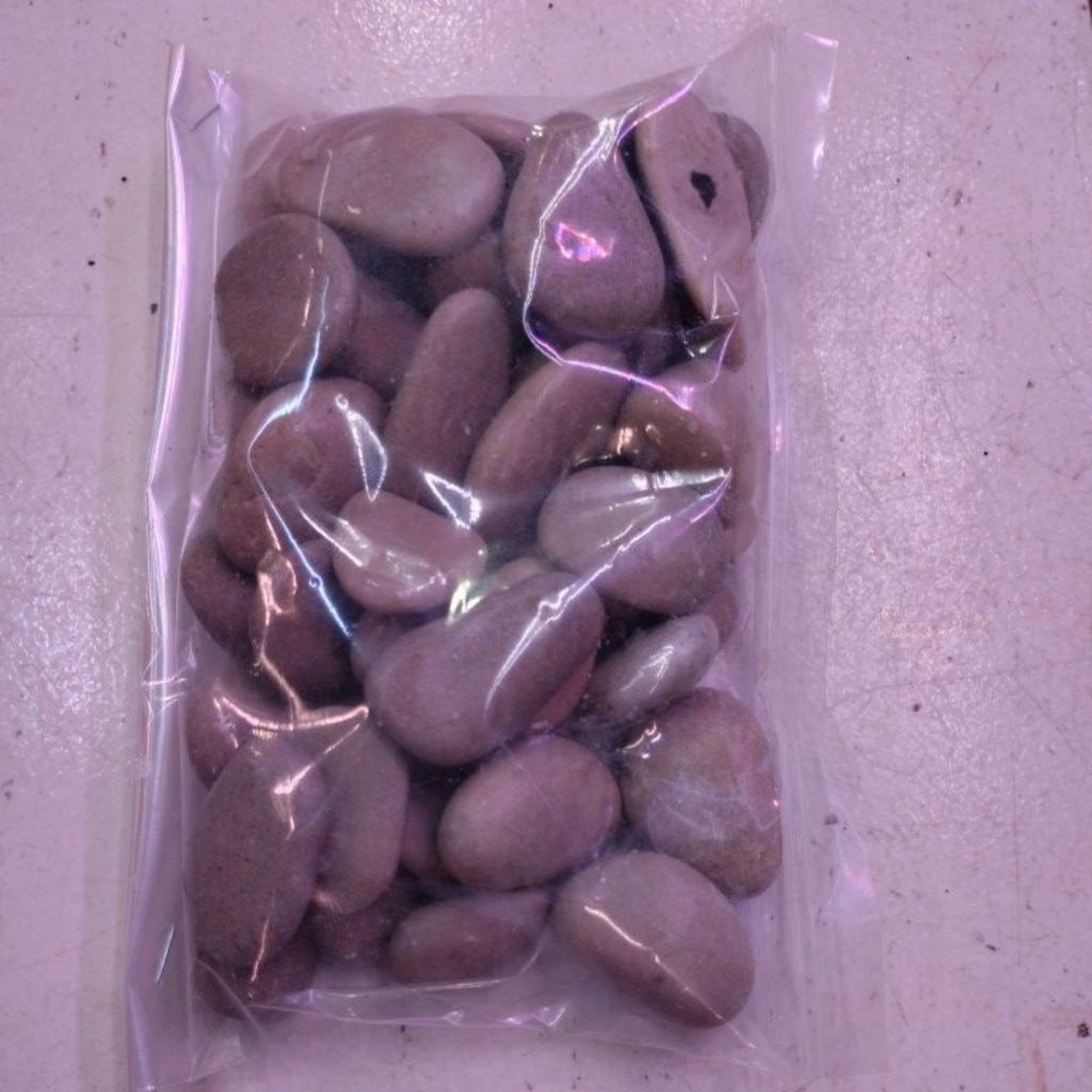 batu koral putih Asesoris aquarium