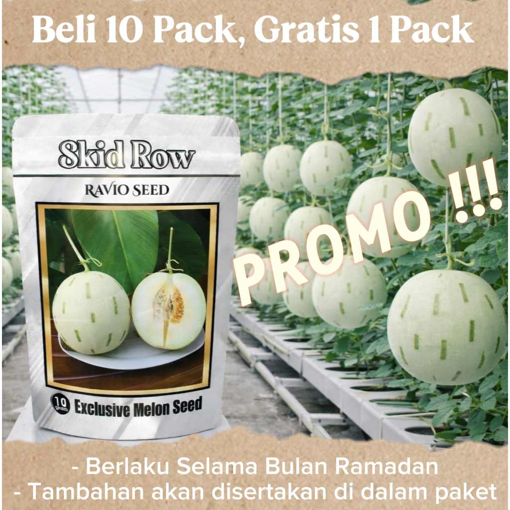 PROMO Benih Melon Skid Row  (Beli 10, Gratis 1)