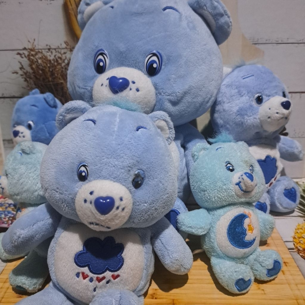 Care Bear/Bears - Plush/Plushies/Boneka (Grumpy Bear & Bedtime Bear)