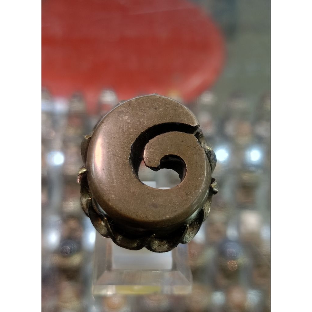 Cincin  Fosil keong/ kol buntet jumbo (Natural)