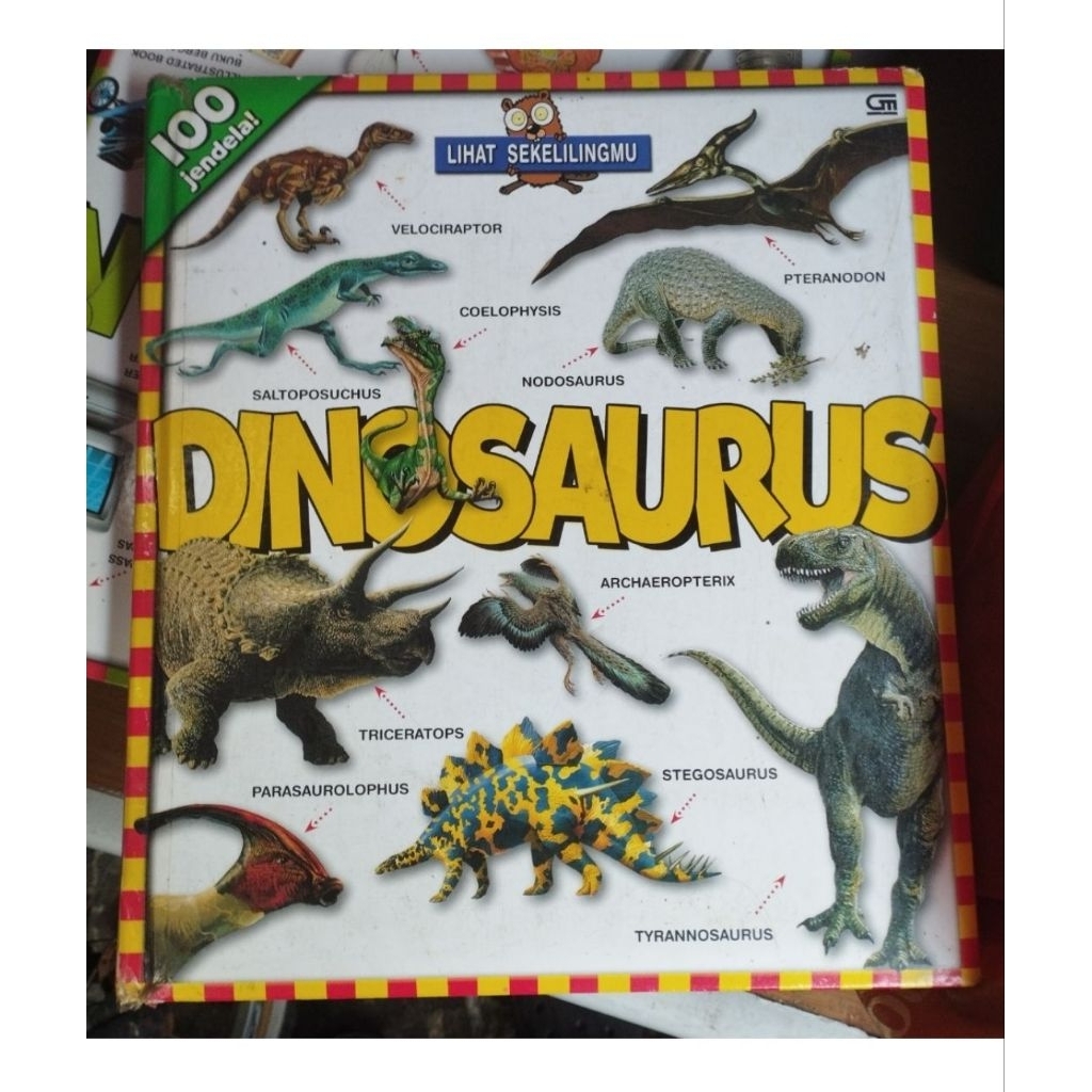 Dinosaur Window Book