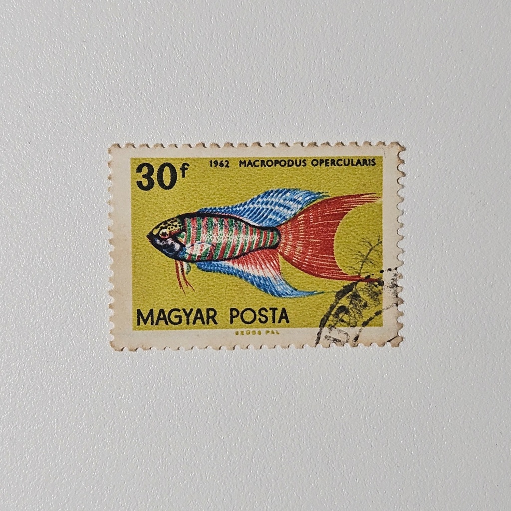 Perangko Fauna Ikan Hias: Paradise Fish Magyar Posta (Perangko Klasik 1962)