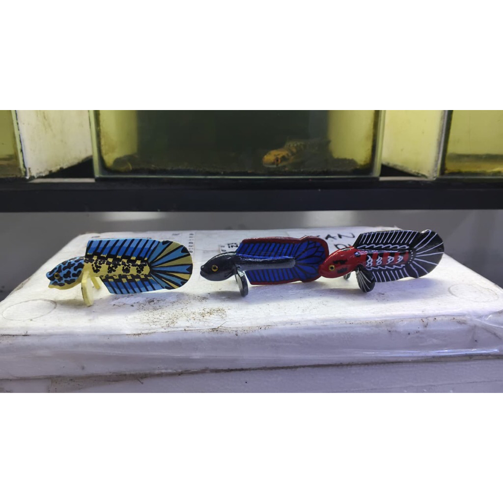 PATUNG CHANNA MARU - LIMBATA - AURANTI