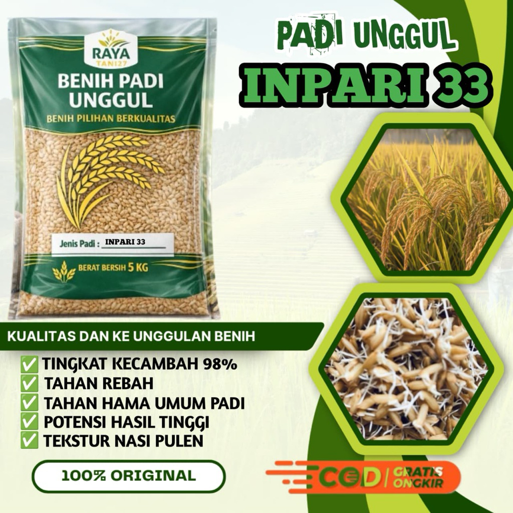 BENIH padi bibit padi unggul INPARI 33 asli kemasan 5kg
