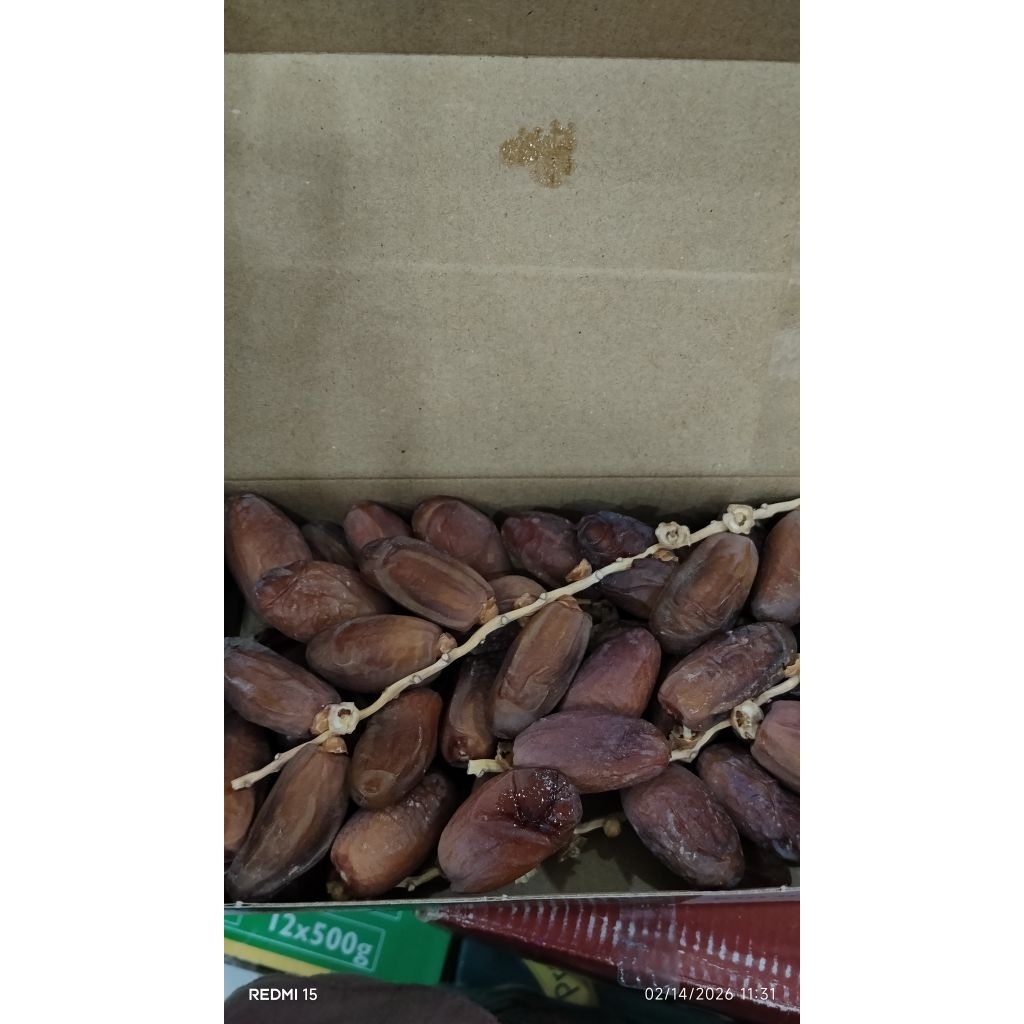 kurma tunis tangkai / deglet noor tunisia / kurma tunisia
