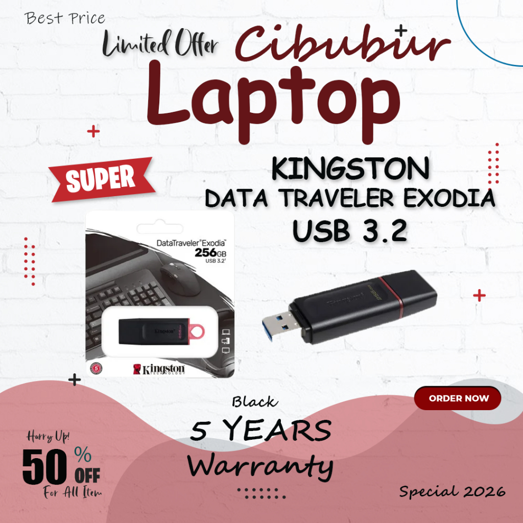 FLASH DISK KINGSTON DATA EXODIA 256GB