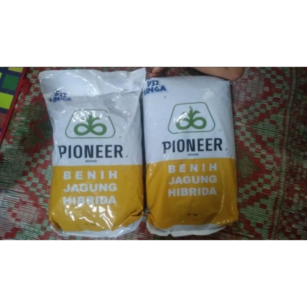 Bibit Jagung Hibrida Pioneer P32 5kg x 4pcs / 20kg