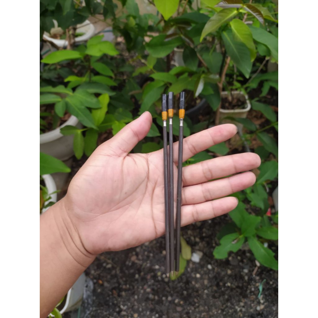 MATA PASER IKAN PCP OD 6 PANJANG 17 CM