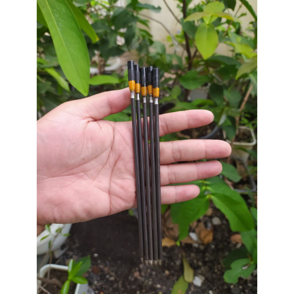 MATA PASER IKAN PCP 6 MM AS BAJA