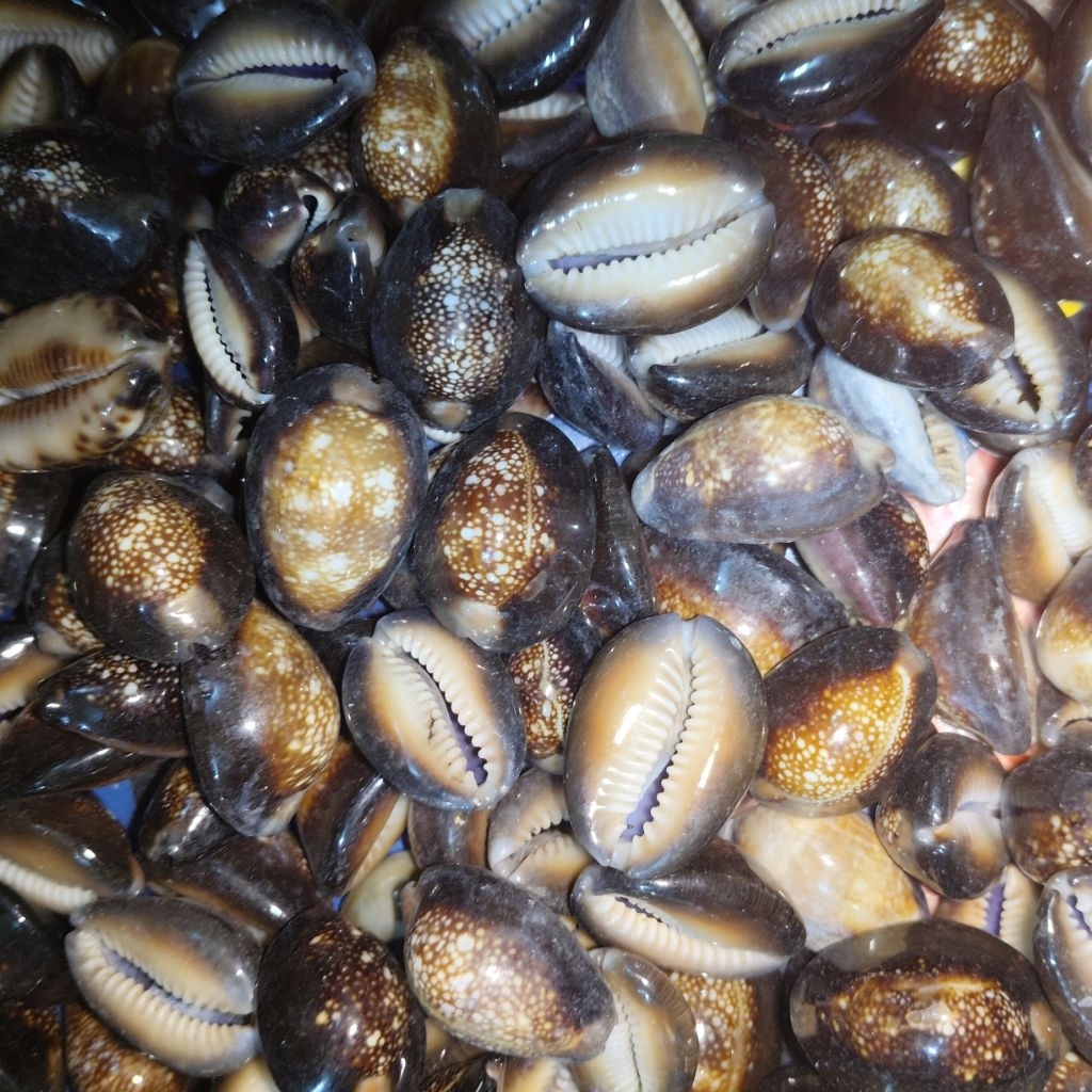 100gram / kuwuk hitam / kuwuk mainan / kuwuk bekel