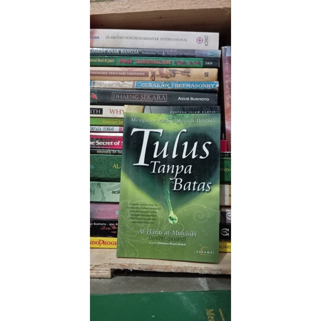 Tulus Tanpa Batas