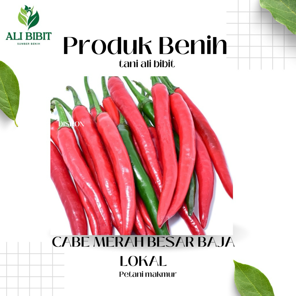 2000 Butir > Biji Benih Cabe Merah Besar Baja Lokal > Bibit Cabe Merah Baja Lokal> Bonus benih