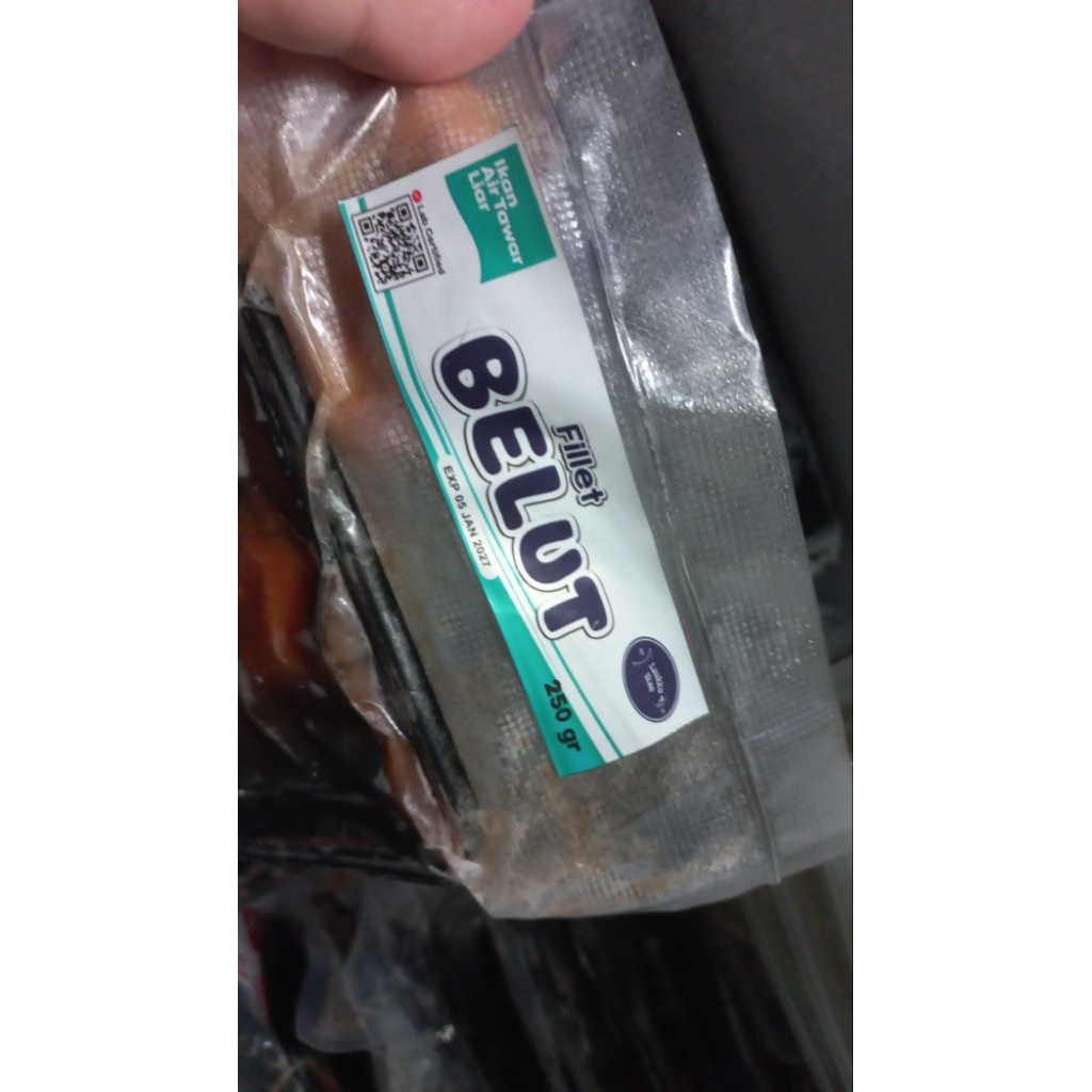BELUT FILLET ORI