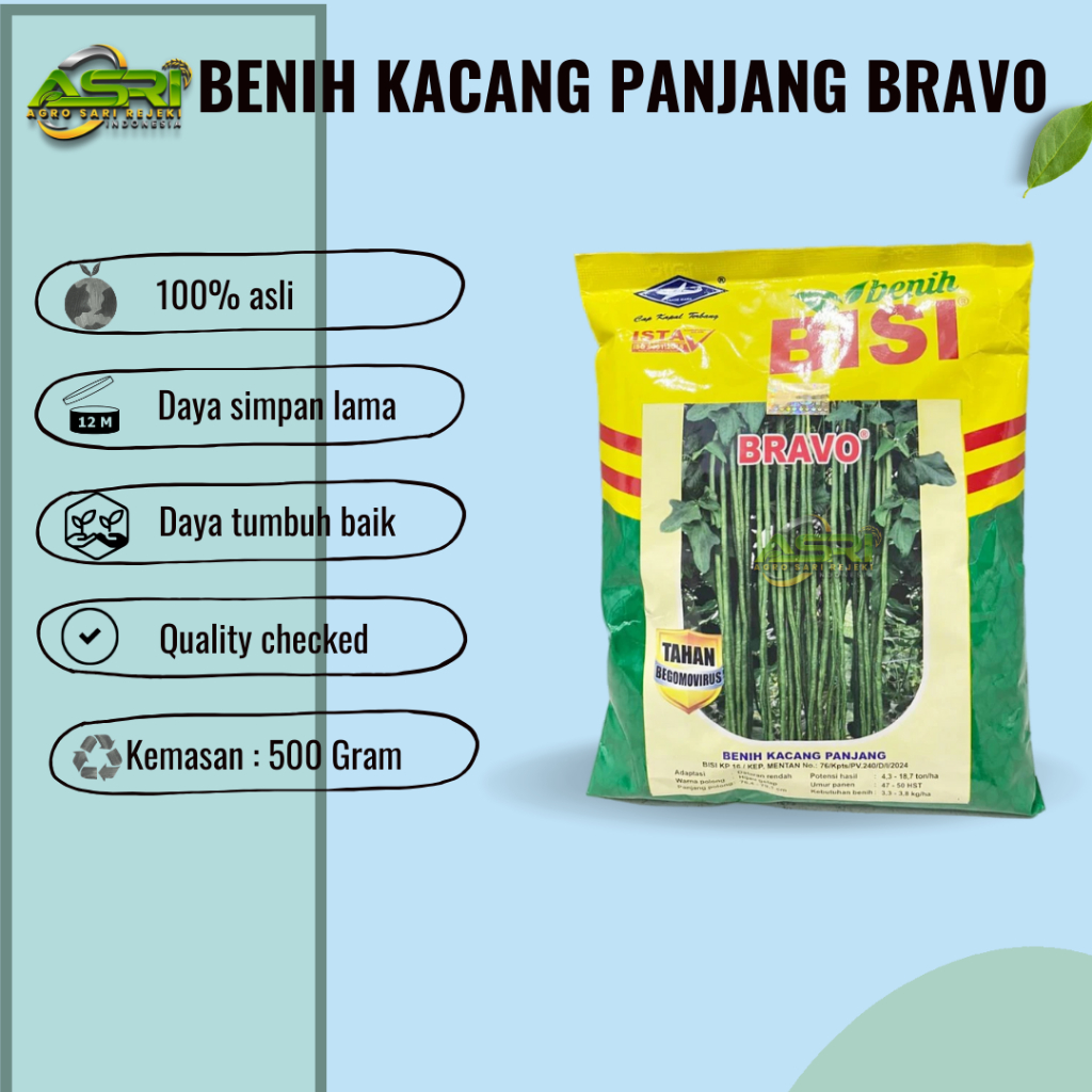 Benih Kacang Panjang Bravo 500gram Cap Kapal Terbang