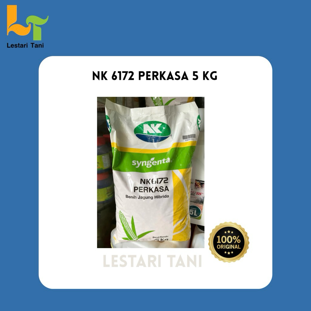 Benih NK PERKASA 5 Kg - NK 6172 PERKASA SYNGENTA