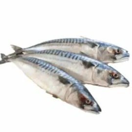 Ikan kembung layang 1kg