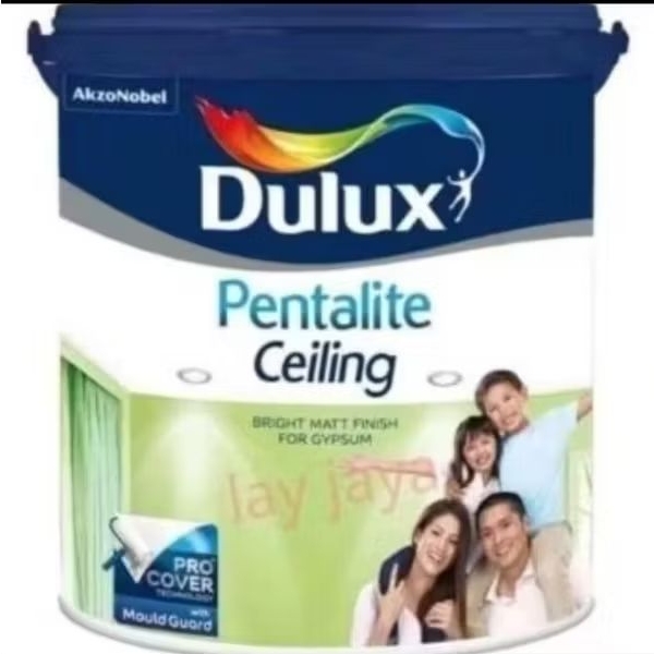Dulux Pentalite ceiling 4kg
