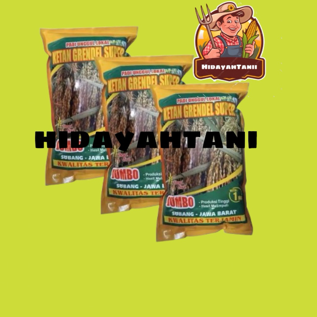 Benih Ketan Grendel Super 1 kg Benih Padi Ketan Putih Dewi Sri Premium Benih Ketan Mapan