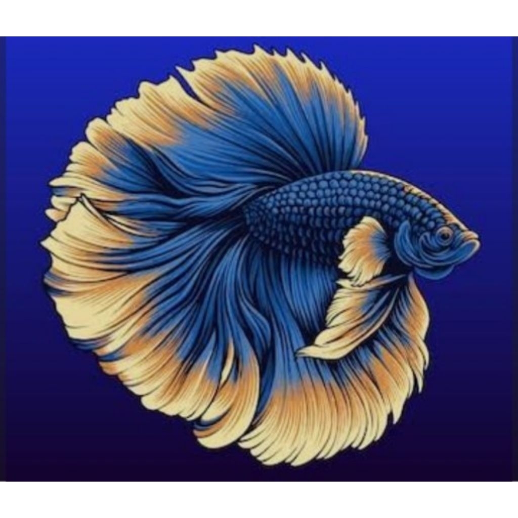 Ikan Cupang Halfmoon - Mustard, Jantan, Size Besar, Hiasan Aquarium
