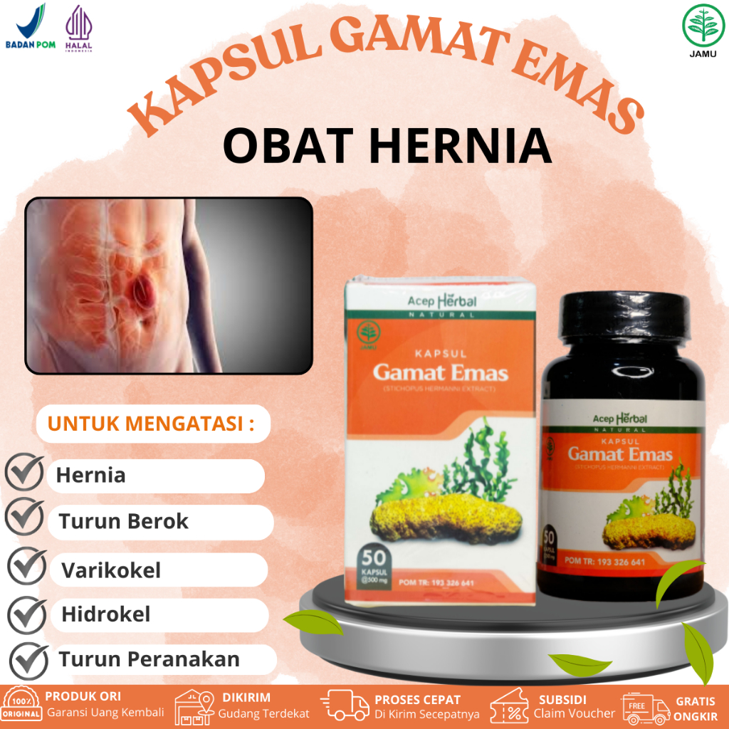 Kapsul Gamat Emas Untuk Hernia, Hernia Inguinalis, Turun Berok,  Usus Menonjol, Hernia Varikokel, He