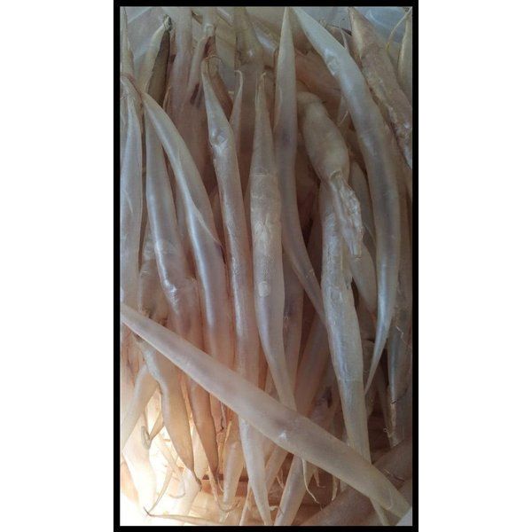 GELEMBUNG IKAN / PERUT IKAN / FISH MAW MALONG SIZE KING JUMBO