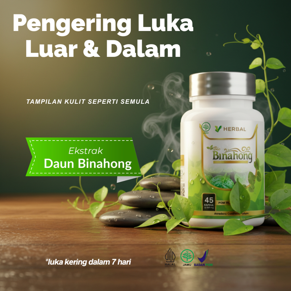 Bio BINAHONG - Kapsul dengan Ekstrak Daun Binahong Kapsul Penyembuh Luka Pengering Luka Operasi Cepa