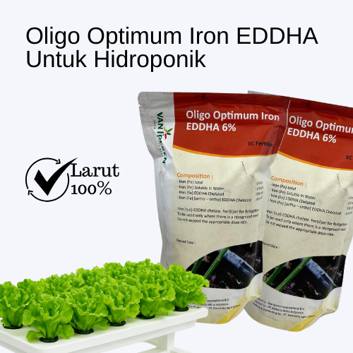 Pupuk Mikro Oligo Optimum Fe EDDHA 6% Ortho 4.0 - Untuk Hidroponik