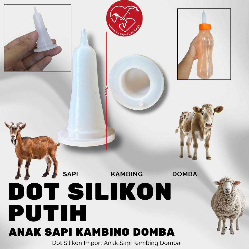 Dot Cempe Kambing Domba Grosir Bahan Silikon Import