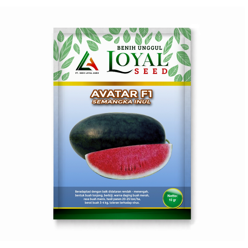 BENIH SEMANGKA INUL MERAH UNGGUL AVATAR 10 GRAM CAP LOYAL SEED