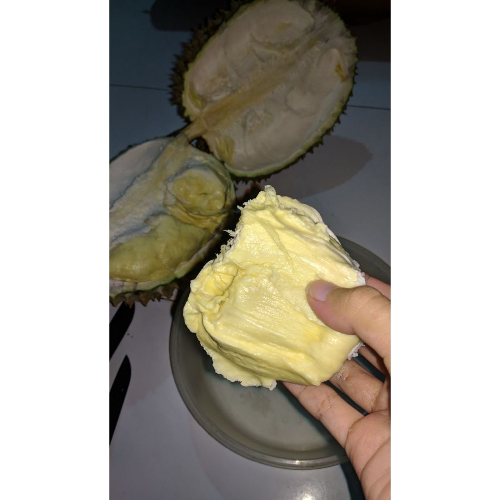 Promo Durian Medan /Durian Montong Segar Durian Asli manis dan legit