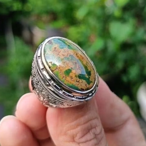 Pirus Persia Natural lawasan