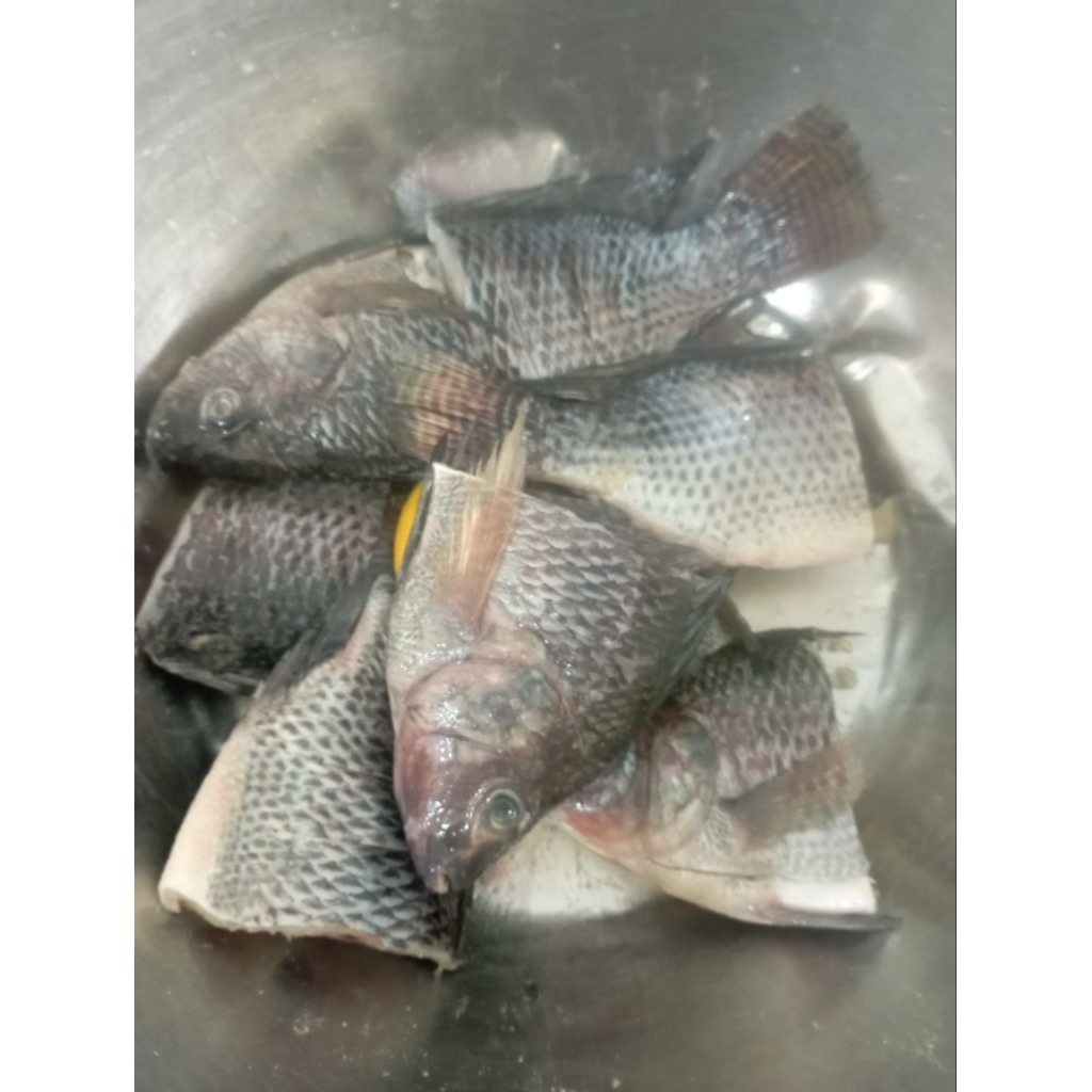 Pepes Ikan Nila Hitam(black Thilapia) siap saji