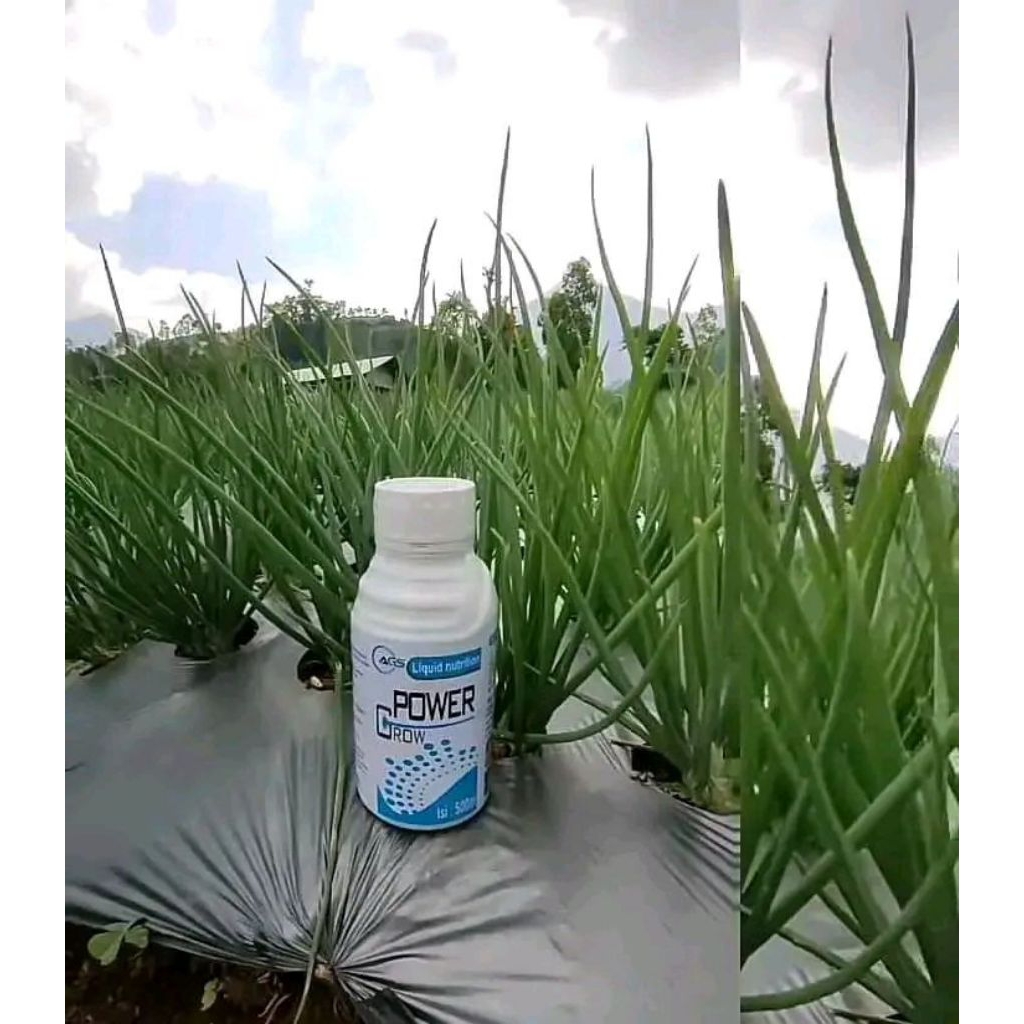 Pupuk Tanaman POWER GROW ORIGINAL 500 ml PUPUK PELENGKAP CAIR