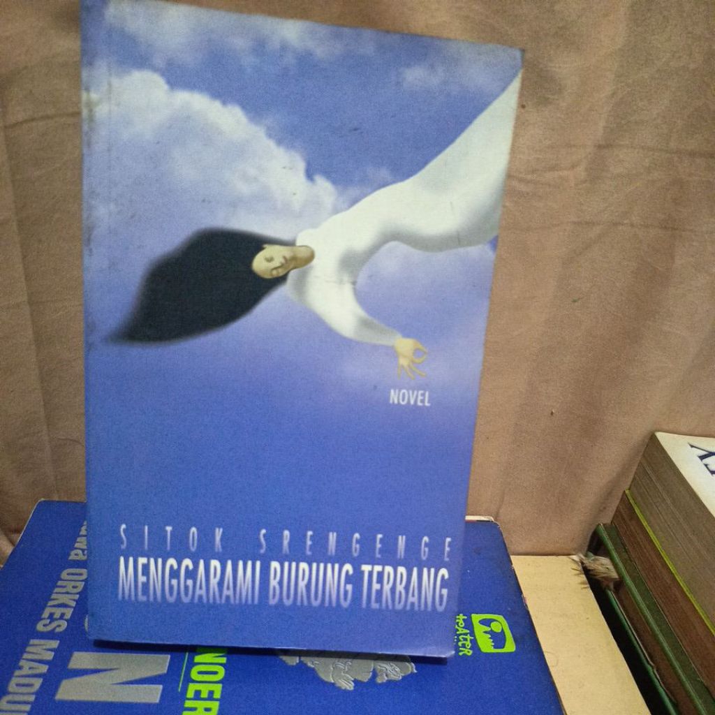 MENGGARAMI BURUNG TERBANG - SITOK SRENGENGE