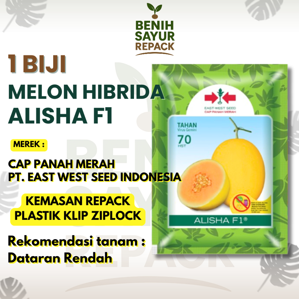 1 Biji Benih Melon Hibrida Alisha F1 - Melon Golden - Berdaging Orange/Oranye - CAP PANAH MERAH MELO