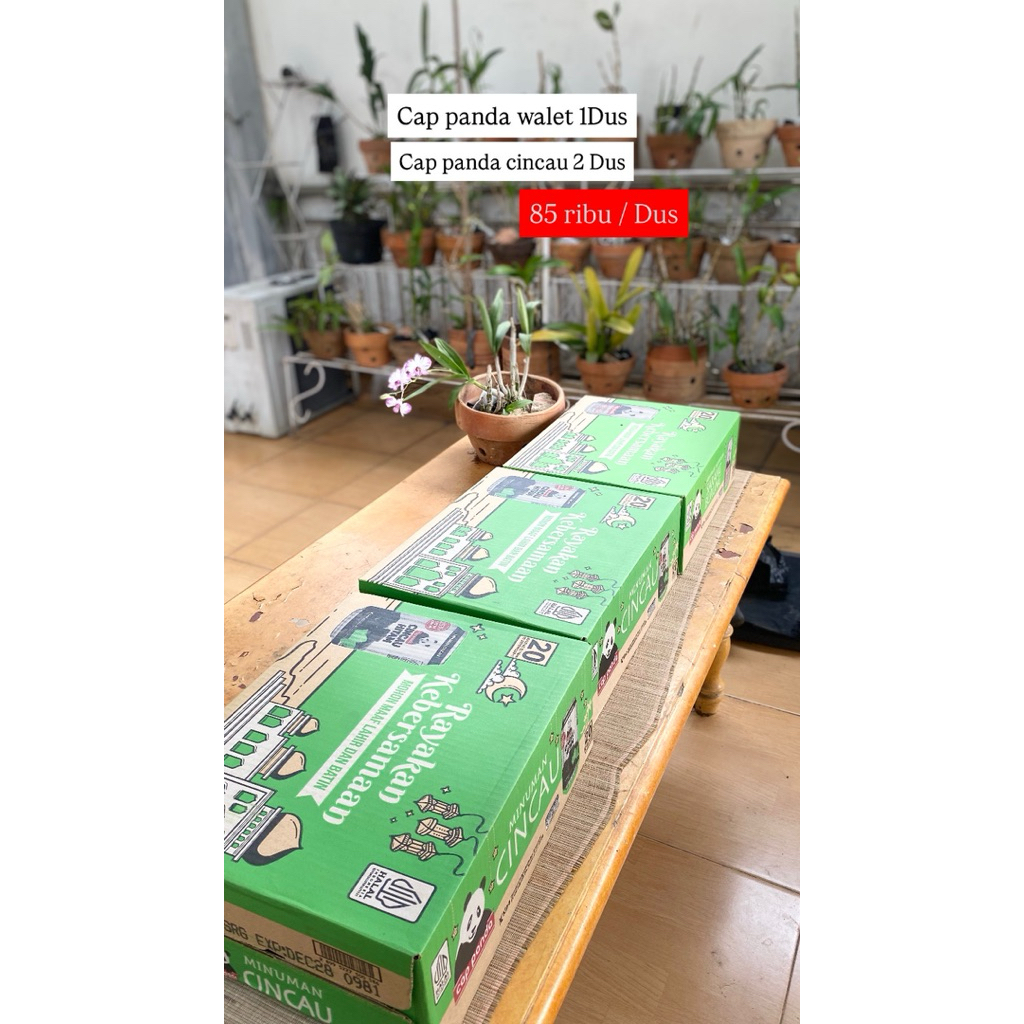 Minuman kaleng Cap panda walet /Cincau