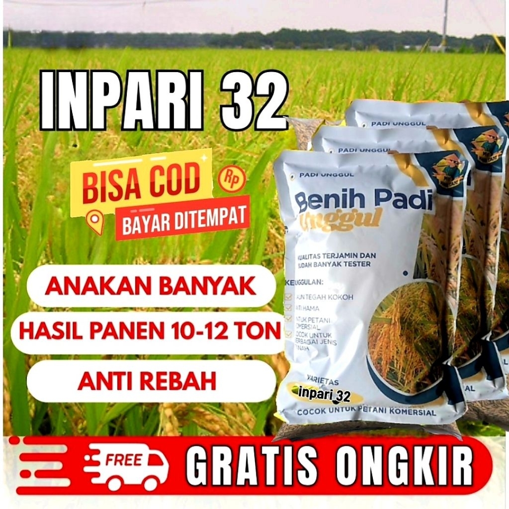 BENIH PADI UNGGUL BERKUALITAS INPARI 32 JUMBO KEMASAN 1KG
