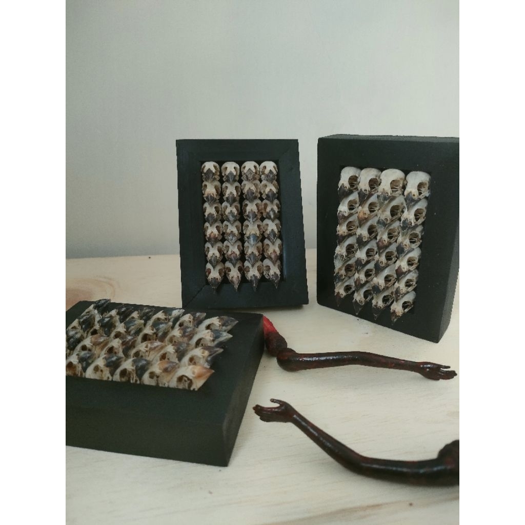 #68192666 Dekorasi Rumah Hiasan Meja Tengkorak