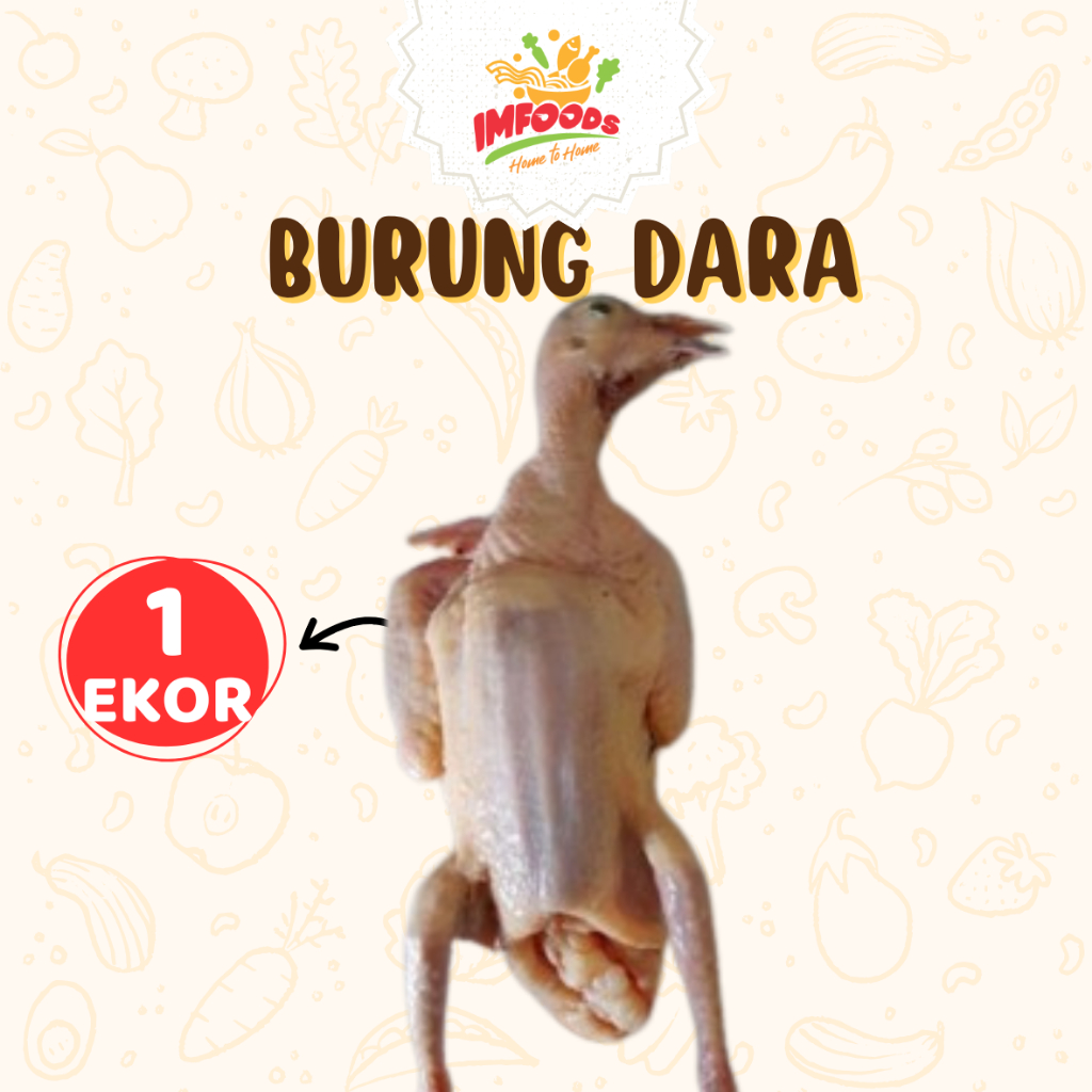 Burung dara frozen/Burung dara beku isi 1 ekor/Frozen food burung dara /burung dara mentah / Imfoods